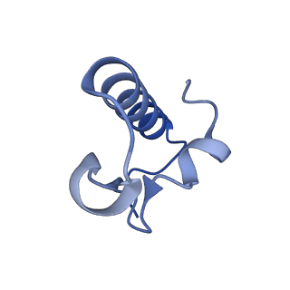 26817_7uvv_r_v1-1
A. baumannii ribosome-Streptothricin-F complex: 70S with P-site tRNA