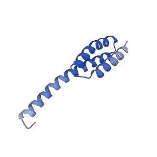 26817_7uvv_t_v1-1
A. baumannii ribosome-Streptothricin-F complex: 70S with P-site tRNA