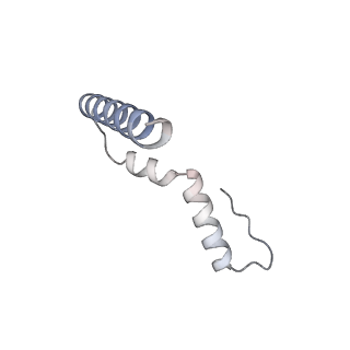 26817_7uvv_u_v1-1
A. baumannii ribosome-Streptothricin-F complex: 70S with P-site tRNA