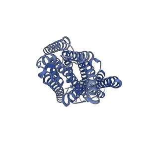 42628_8uvt_A_v1-0
Structure of the insect gustatory receptor Gr9 from Bombyx mori