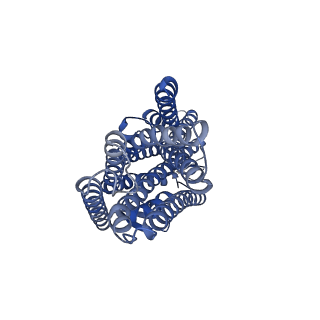 42628_8uvt_B_v1-0
Structure of the insect gustatory receptor Gr9 from Bombyx mori