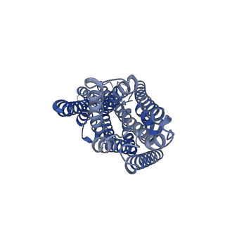 42628_8uvt_C_v1-0
Structure of the insect gustatory receptor Gr9 from Bombyx mori