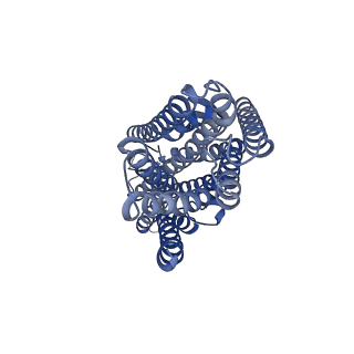 42628_8uvt_D_v1-0
Structure of the insect gustatory receptor Gr9 from Bombyx mori