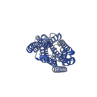 42629_8uvu_B_v1-0
Structure of the insect gustatory receptor Gr9 from Bombyx mori in complex with D-fructose