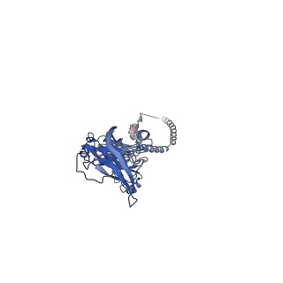 8608_5uvn_D_v1-5
Structure of E. coli MCE protein PqiB, periplasmic domain