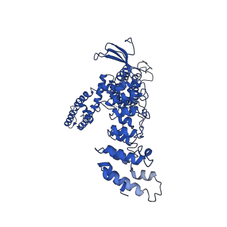 20917_6uw4_A_v1-1
Cryo-EM structure of human TRPV3 determined in lipid nanodisc