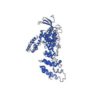 20917_6uw4_A_v1-2
Cryo-EM structure of human TRPV3 determined in lipid nanodisc