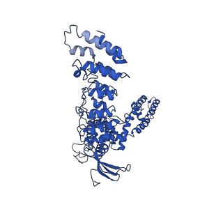 20917_6uw4_C_v1-1
Cryo-EM structure of human TRPV3 determined in lipid nanodisc