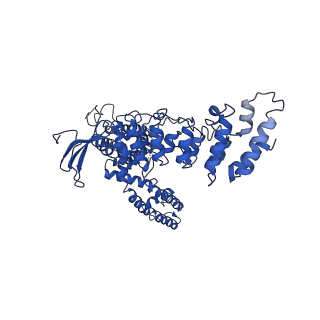 20917_6uw4_D_v1-1
Cryo-EM structure of human TRPV3 determined in lipid nanodisc