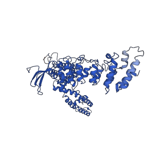 20917_6uw4_D_v1-2
Cryo-EM structure of human TRPV3 determined in lipid nanodisc