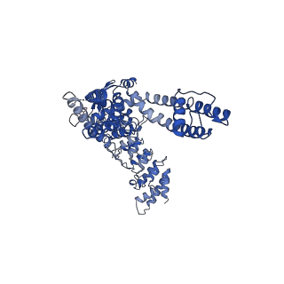 20918_6uw6_A_v1-1
Cryo-EM structure of the human TRPV3 K169A mutant determined in lipid nanodisc