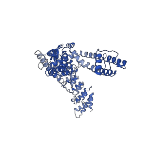 20918_6uw6_A_v1-2
Cryo-EM structure of the human TRPV3 K169A mutant determined in lipid nanodisc