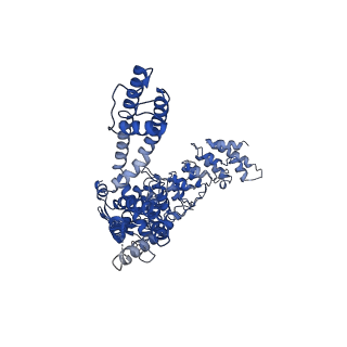 20918_6uw6_B_v1-2
Cryo-EM structure of the human TRPV3 K169A mutant determined in lipid nanodisc