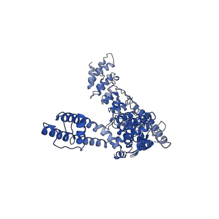 20918_6uw6_C_v1-2
Cryo-EM structure of the human TRPV3 K169A mutant determined in lipid nanodisc