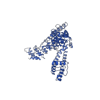 20918_6uw6_D_v1-2
Cryo-EM structure of the human TRPV3 K169A mutant determined in lipid nanodisc