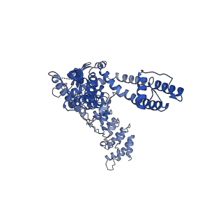 20919_6uw8_A_v1-2
Cryo-EM structure of the human TRPV3 K169A mutant briefly exposed to 2-APB for 3 minutes, determined in lipid nanodisc