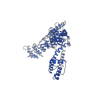 20919_6uw8_D_v1-1
Cryo-EM structure of the human TRPV3 K169A mutant briefly exposed to 2-APB for 3 minutes, determined in lipid nanodisc