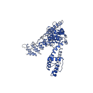 20919_6uw8_D_v1-2
Cryo-EM structure of the human TRPV3 K169A mutant briefly exposed to 2-APB for 3 minutes, determined in lipid nanodisc