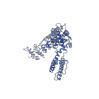20920_6uw9_A_v1-1
Cryo-EM structure of the human TRPV3 K169A mutant in the presence of 2-APB, determined in lipid nanodisc
