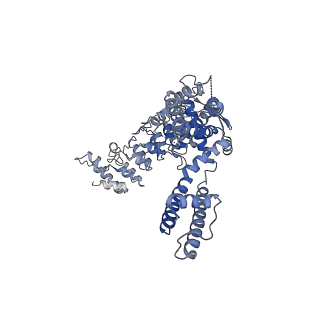 20920_6uw9_A_v1-2
Cryo-EM structure of the human TRPV3 K169A mutant in the presence of 2-APB, determined in lipid nanodisc