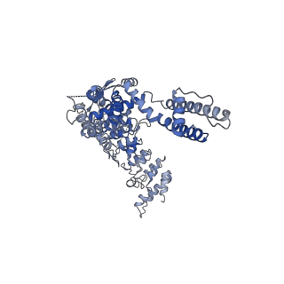 20920_6uw9_B_v1-1
Cryo-EM structure of the human TRPV3 K169A mutant in the presence of 2-APB, determined in lipid nanodisc