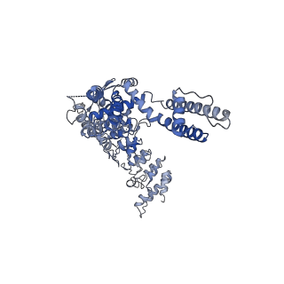 20920_6uw9_B_v1-2
Cryo-EM structure of the human TRPV3 K169A mutant in the presence of 2-APB, determined in lipid nanodisc