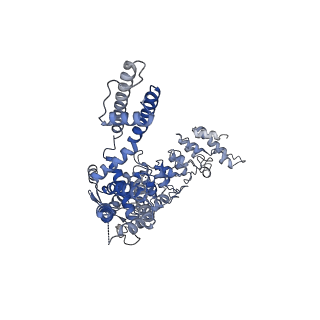 20920_6uw9_C_v1-1
Cryo-EM structure of the human TRPV3 K169A mutant in the presence of 2-APB, determined in lipid nanodisc