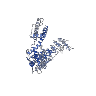 20920_6uw9_C_v1-2
Cryo-EM structure of the human TRPV3 K169A mutant in the presence of 2-APB, determined in lipid nanodisc