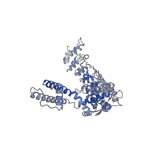 20920_6uw9_D_v1-1
Cryo-EM structure of the human TRPV3 K169A mutant in the presence of 2-APB, determined in lipid nanodisc