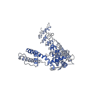 20920_6uw9_D_v1-2
Cryo-EM structure of the human TRPV3 K169A mutant in the presence of 2-APB, determined in lipid nanodisc