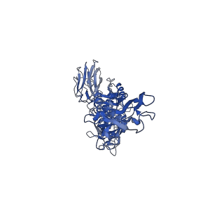 20926_6uwr_J_v1-0
Clostridium difficile binary toxin translocase CDTb in asymmetric tetradecamer conformation