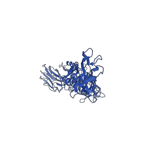 20926_6uwr_K_v1-1
Clostridium difficile binary toxin translocase CDTb in asymmetric tetradecamer conformation