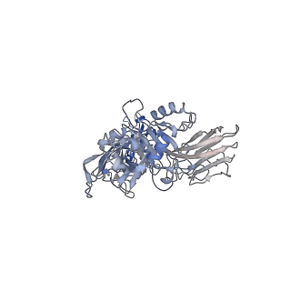 20927_6uwt_A_v1-0
Clostridium difficile binary toxin translocase CDTb tetradecamer in symmetric conformation