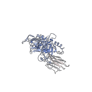 20927_6uwt_B_v1-0
Clostridium difficile binary toxin translocase CDTb tetradecamer in symmetric conformation