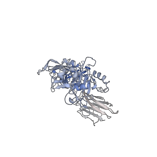 20927_6uwt_B_v1-1
Clostridium difficile binary toxin translocase CDTb tetradecamer in symmetric conformation