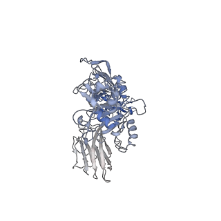 20927_6uwt_C_v1-0
Clostridium difficile binary toxin translocase CDTb tetradecamer in symmetric conformation