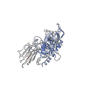 20927_6uwt_D_v1-0
Clostridium difficile binary toxin translocase CDTb tetradecamer in symmetric conformation
