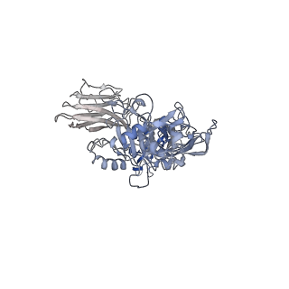 20927_6uwt_E_v1-1
Clostridium difficile binary toxin translocase CDTb tetradecamer in symmetric conformation