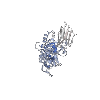 20927_6uwt_G_v1-0
Clostridium difficile binary toxin translocase CDTb tetradecamer in symmetric conformation