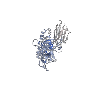 20927_6uwt_G_v1-1
Clostridium difficile binary toxin translocase CDTb tetradecamer in symmetric conformation