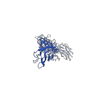 20927_6uwt_H_v1-1
Clostridium difficile binary toxin translocase CDTb tetradecamer in symmetric conformation