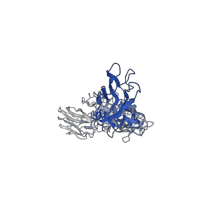 20927_6uwt_L_v1-0
Clostridium difficile binary toxin translocase CDTb tetradecamer in symmetric conformation