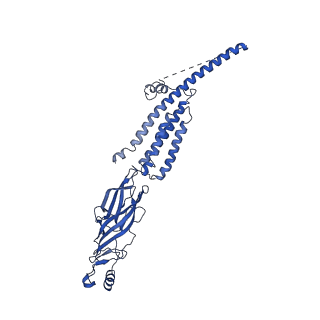 20928_6uwz_A_v1-2
Cryo-EM structure of Torpedo acetylcholine receptor in complex with alpha-bungarotoxin