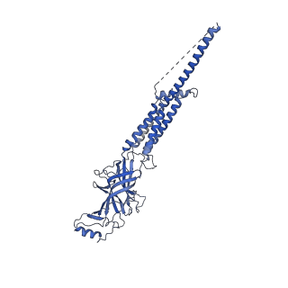 20928_6uwz_B_v1-2
Cryo-EM structure of Torpedo acetylcholine receptor in complex with alpha-bungarotoxin