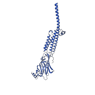 20928_6uwz_C_v1-2
Cryo-EM structure of Torpedo acetylcholine receptor in complex with alpha-bungarotoxin