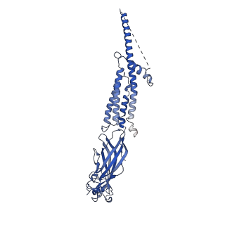 20928_6uwz_D_v1-2
Cryo-EM structure of Torpedo acetylcholine receptor in complex with alpha-bungarotoxin