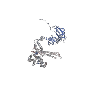 26823_7uw5_A_v1-0
EcMscK G924S mutant in a closed conformation