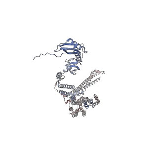 26823_7uw5_B_v1-0
EcMscK G924S mutant in a closed conformation