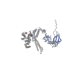 26823_7uw5_G_v1-0
EcMscK G924S mutant in a closed conformation