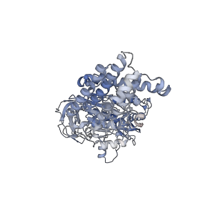 26825_7uw9_A_v1-2
Citrus V-ATPase State 1, H in contact with subunit a